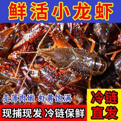 ���ڲ���������Ϻ���С������ʻ�С��Ϻ���̺����ش���Ϻ������ˮС��Ϻ��Ϻ 59Ԫ