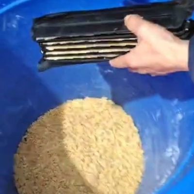 黑水虻虫卵50克,下单就发货,对接直播间爆款同步销售,有售后保障