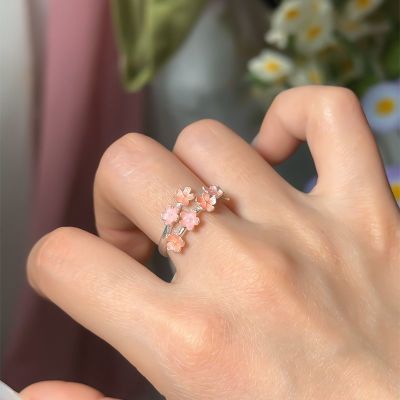 ���ڲ�������Խ����������9999�Ŵ���ָ����ʽ���ſ���ָ�����ʸ߼�ĸ�׽� 106Ԫ