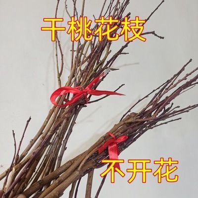 现摘野生东南桃树枝摆件镇宅神器孕妇床头乔迁失眠婴儿挂件