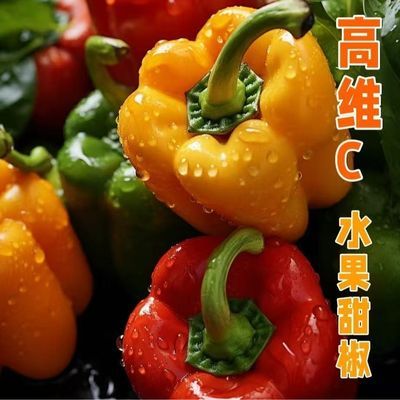 云南新鲜彩椒甜椒不辣新鲜柿子椒灯笼椒红黄绿蔬菜五彩辣椒水果