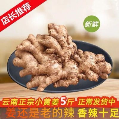 云南老姜正宗黄姜罗平生姜新鲜辛辣月子药食同源整箱批发炒菜配料