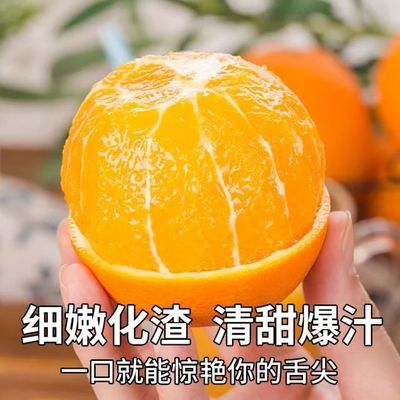 产地直发秭归伦晚脐橙甜橙湖北当季晚春橙子新鲜榨汁水果包邮整箱