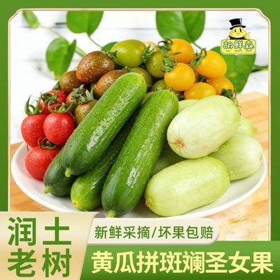 ���ڲ�����������ɭ����Ů�ƹϰ�쵶��ʥŮ��ˮ���ƹ���ɫ�����߲����3�� 27.3Ԫ