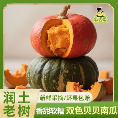 ���ڲ�����������ɭ��ɽ��˫ɫ�����Ϲϻ��𱴱�С�Ϲϰ����Ϲ����4.5�� 19.9Ԫ