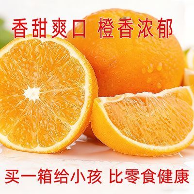 橙子伦晚脐橙甜橙湖北晚春橙子新鲜榨汁水果包邮整箱产地直发