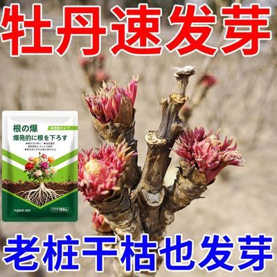 牡丹速发芽】老桩催芽剂促芽僵苗快速发新芽防黄叶促花营养复活肥
