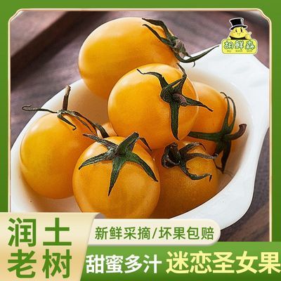 ���ڲ���������ɭ��˳����ʡ�ɽ������С���ѻƽ�ʥŮ����ɫС��������2�� 18.9Ԫ