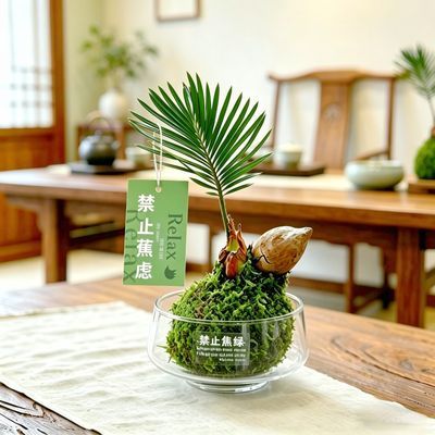 ���ڲ�������������ˮ������̦޺��΢���۴������Բ�̨С��ֲ���̨�ڷŻ��� 8.8Ԫ