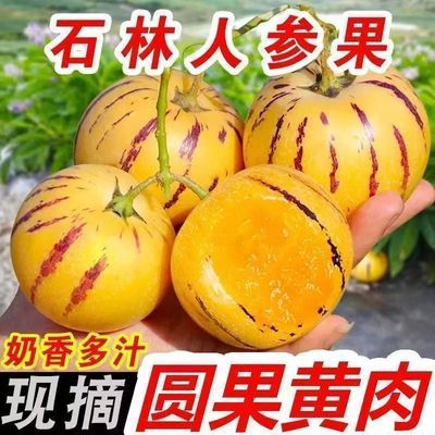 云南石林人参果黄心正宗大果圆果应季黄肉低糖水果孕妇新鲜人生果