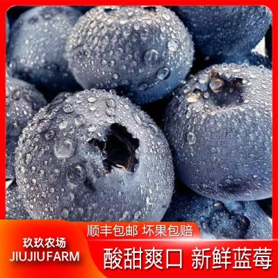 ���ڲ�����˳�᡾����ũ������������������ݮ��������ݮ����2�е���18mm 36.4Ԫ