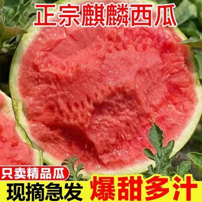 新鲜现摘麒麟超甜脆甜西瓜应季整箱无籽有籽新鲜水果非美都8424瓜