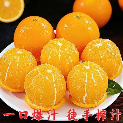 湖北秭归伦晚脐橙甜橙当季晚春橙子新鲜榨汁水果包邮整箱产地直发