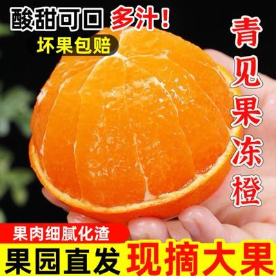 彩箱发货四川青见果冻橙手剥橙子应季新鲜水果橘子非爱媛脐橙子