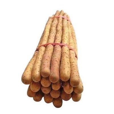正宗新鲜铁棍山药淮山药小白嘴山药河北原产地直发多规格蔬菜可选
