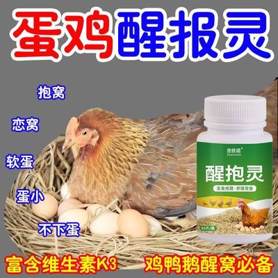 家禽醒抱灵 60 片鸡鸭鹅抱窝催醒促产蛋养殖专用饲料添加剂