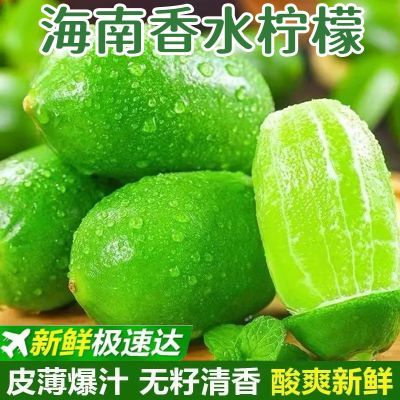海南香水柠檬无籽青柠奶茶店专用现摘现发商用新鲜柠檬