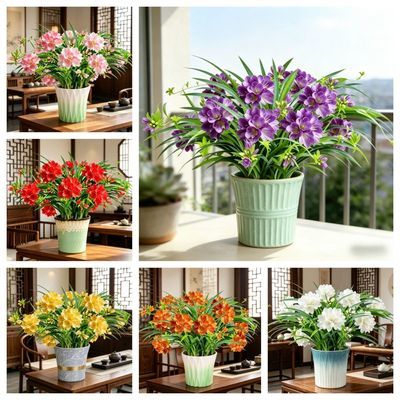 驱蚊好养】新品浓香型懒人花卉四季开花重瓣大花室内庭院种植盆栽