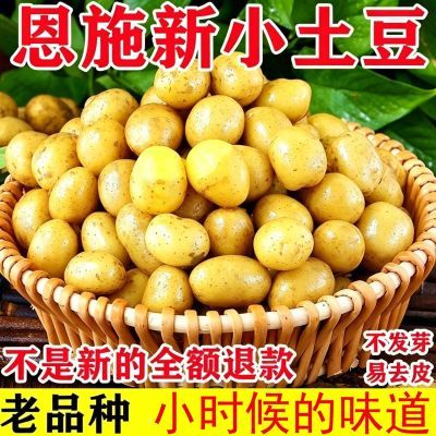 2026新鲜正宗恩施富硒黄心小土豆薄皮高山洋芋马铃薯现挖当季蔬菜优惠商品图片