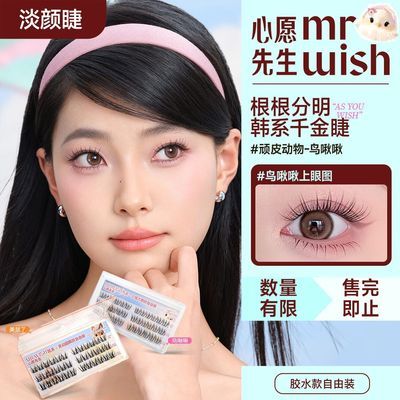 心愿先生假睫毛动物系列鸟啾啾美鼠了新手友好三簇式官方正品