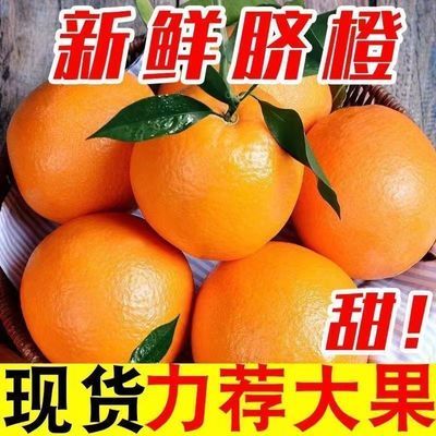 新鲜现摘湖北秭归伦晚新鲜脐橙橙子整箱批发薄皮水果香甜甜爆汁