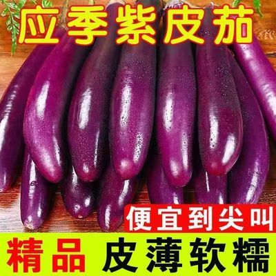 5斤新鲜茄子紫皮长茄新鲜蔬菜农家菜自种茄子新鲜烧烤茄子整箱