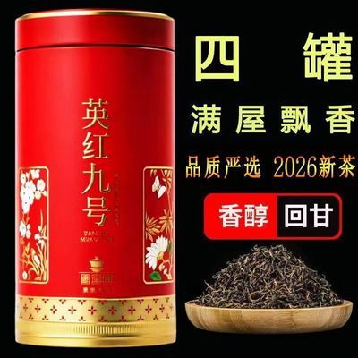 老树英红九号1959英德红茶2026新茶500克正宗奶茶店礼盒年货送礼