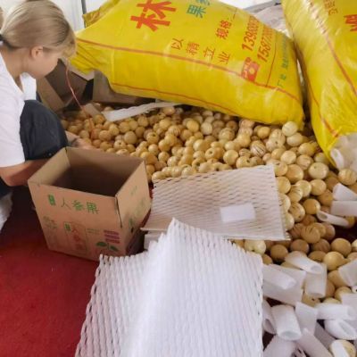 【正宗】云南人参果大果黄肉圆果新鲜应季孕妇水果批发