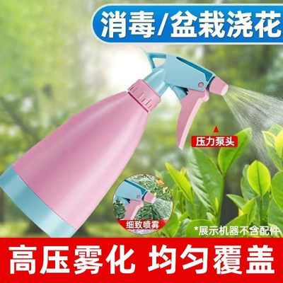 便携式手动加厚喷壶日常家用清洁浇花消毒喷雾瓶园艺神器喷水壶