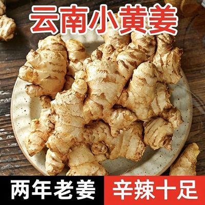 云南高山山地小黄姜姜母老姜辛辣十足新鲜现挖两年一年老姜浓郁