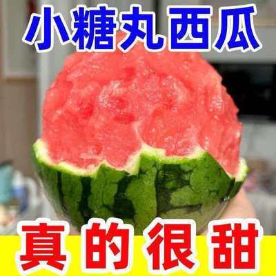 手剥小糖丸小西瓜脆甜多汁当季新鲜水果现摘冰淇淋西瓜包邮发货