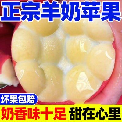 【彩箱泡沫托】正宗羊奶苹果酥脆山西红富士新鲜苹果水果整箱批发