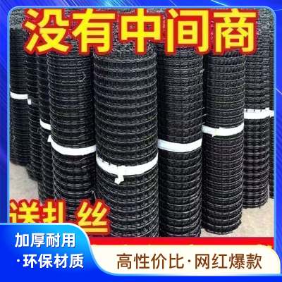 塑料围栏网养鸡网养殖网玉米网塑料网果园围栏防护网新款鸡网超厚