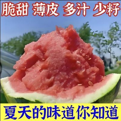 正宗冰糖麒麟8424超甜西瓜现摘新鲜有籽应季薄皮麒麟西瓜批发