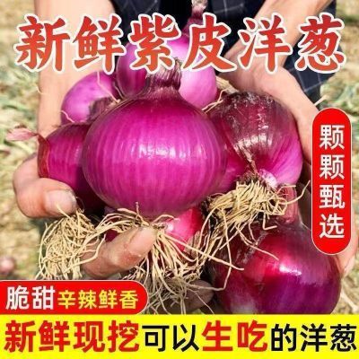 正宗水果洋葱红葱肉厚多汁新鲜水果洋葱生吃甜脆应季土特产