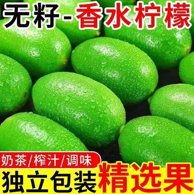 海南香水无籽柠檬正宗海南青柠檬新鲜柠檬香水柠檬商用鲜果包邮