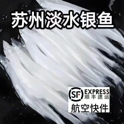 【顺丰快递】淡水银鱼新鲜冷冻面条鱼野生白饭鱼孕妇宝宝辅食银鱼优惠商品图片