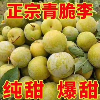 【脆甜脱骨李】四川青脆李新鲜应季水果空心李半边红茵红李冰糖李【30天内发货】