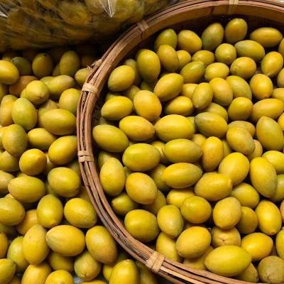 潮汕新鲜黄橄榄香种橄榄腌制埠正宗生青果黄金橄榄化痰泡酒煲汤