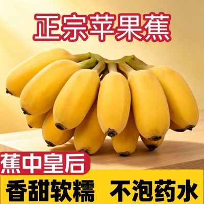 苹果蕉非小米蕉芭蕉新鲜现摘孕妇水果应季水果正宗苹果粉蕉
