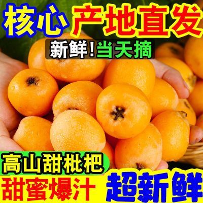 【爆甜好吃】四川攀枝花正宗米易枇杷当季新鲜水果琵琶爆甜五星