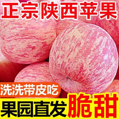 正宗陕西苹果高原红富士苹果不打蜡带皮吃一整箱新鲜苹果水果批发