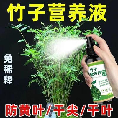 竹子营养液生根壮秆四季常绿防黄叶烂根枯萎干尖免稀释营养液