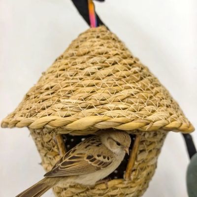 鹦鹉鸟窝牡丹虎皮睡觉的窝四季棉窝手工草编鸟巢