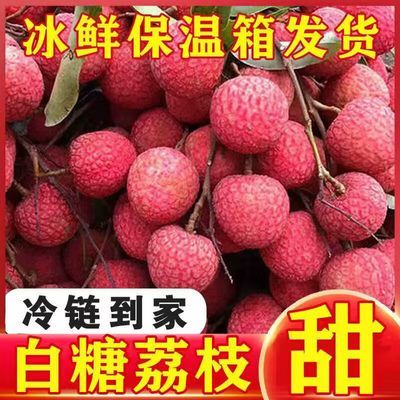 【冷链发货】2026新鲜黑叶白糖罂荔枝妃子笑桂味荔枝当季新鲜荔枝【30天内发货】