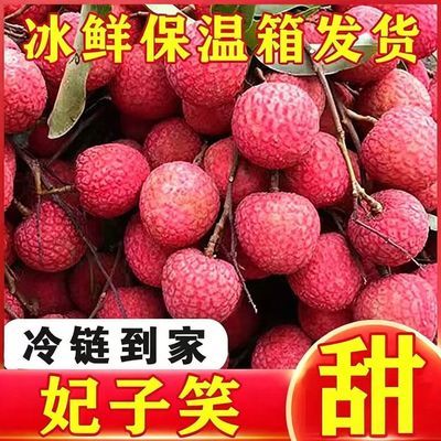 【全程冷链】正宗新鲜荔枝妃子笑当季荔枝新鲜水果桂味黑叶白糖罂【30天内发货】