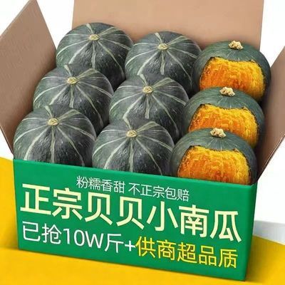 正宗真贝贝南瓜整箱板栗味贝贝板栗南瓜大个小个婴幼儿甜糯正品