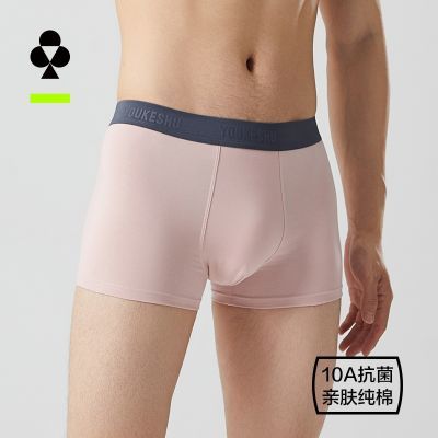���ڲ�������4��װ���п���10A������ʿ�ڿ���ƽ�ǿ�͸�����Ľǿ������̿� 59.9Ԫ