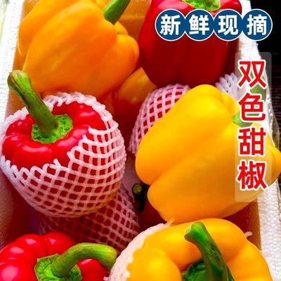 新鲜彩椒五彩灯笼甜椒七彩水果辣椒当季新鲜蔬菜红黄双色辣椒混发