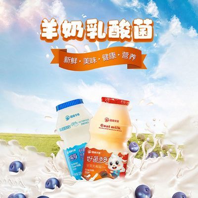 瑞康新品好菌多多羊乳乳酸菌羊奶饮品蓝莓味原味成人儿童早餐送礼